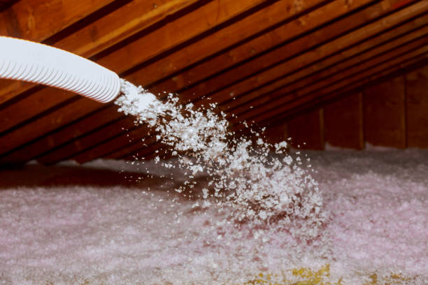 Best Energy Efficiency Insulation in Newton, IA