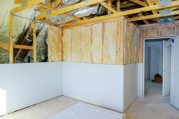 Best Cellulose Insulation in Newton, IA