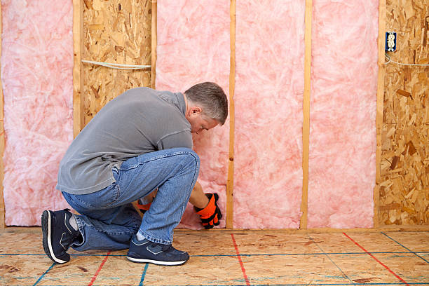 Best Commercial Insulation in Newton, IA