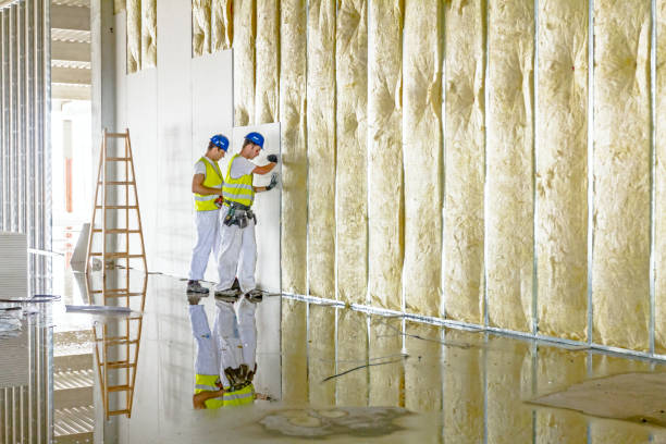 Best Blown-in Insulation in Newton, IA